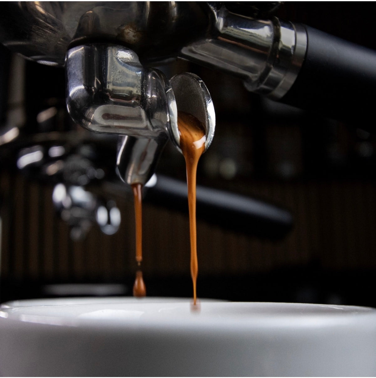 PROFESSIONAL BARISTA (1-DAY COURSE)