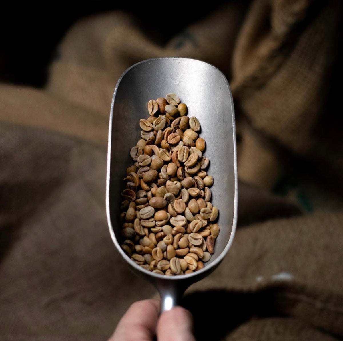PROFESSIONAL BARISTA (1-DAY COURSE)