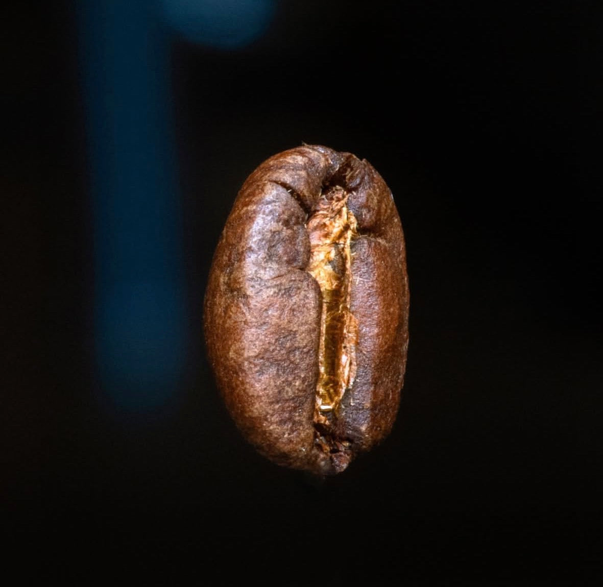 PROFESSIONAL BARISTA (1-DAY COURSE)