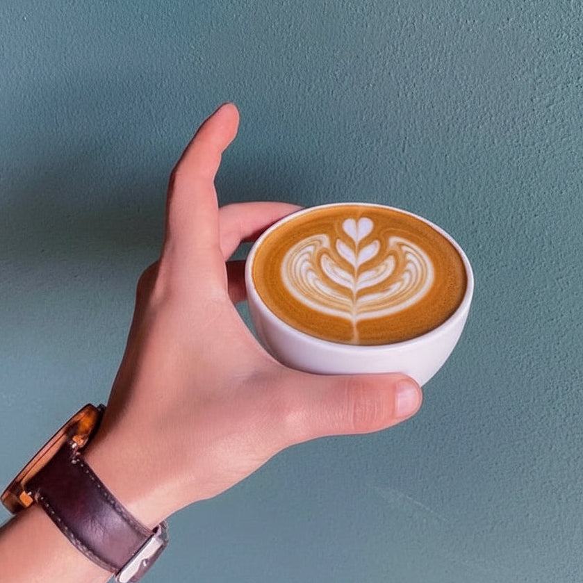 PROFESSIONAL BARISTA (1-DAY COURSE)
